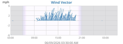 Wind Vector