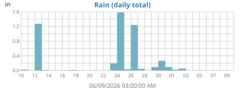 Rain