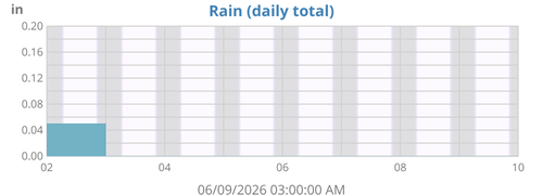 Rain